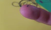 Silicone tube