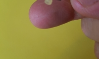 Silicone tube